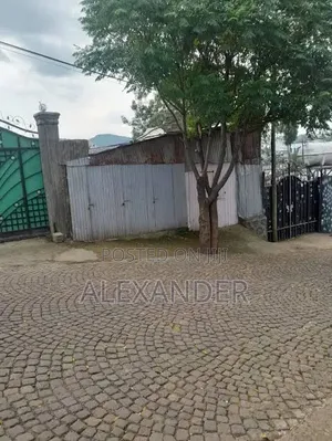 የሚሸጥ ጊቢና ቤት ካራ አካባቢ 300m From Main Road(Asphalt)