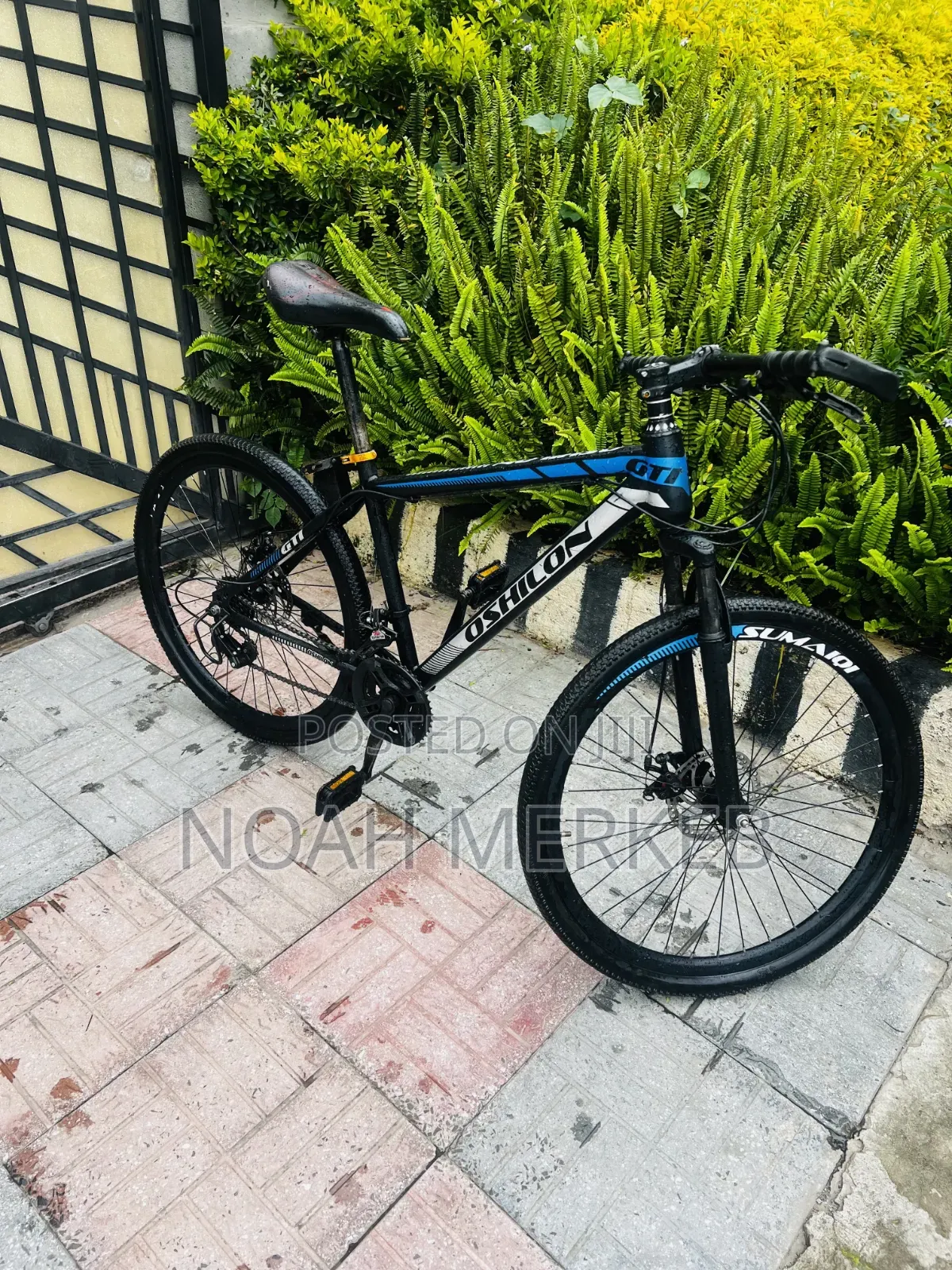 Bike OSHILON