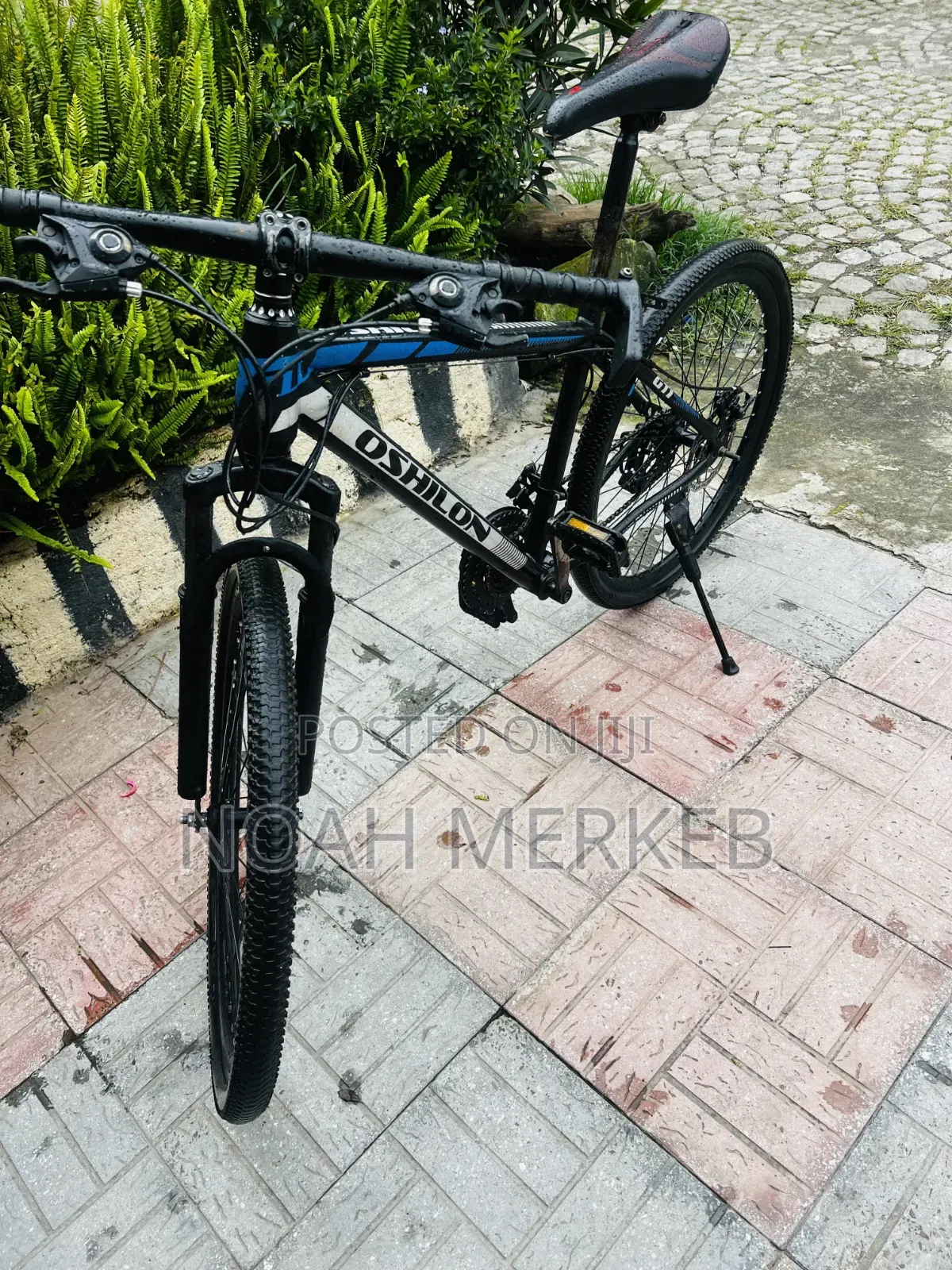 Bike OSHILON