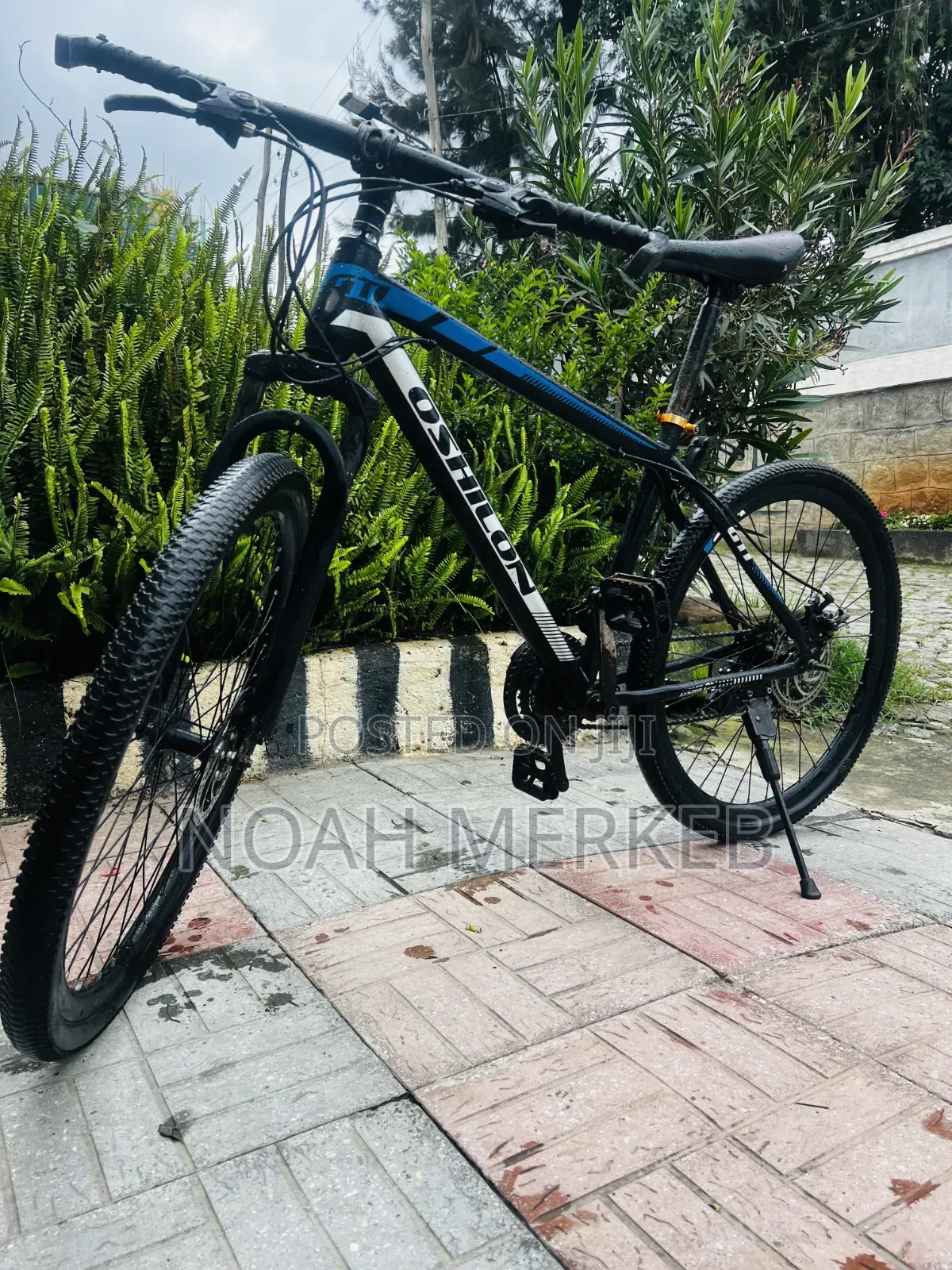 Bike OSHILON
