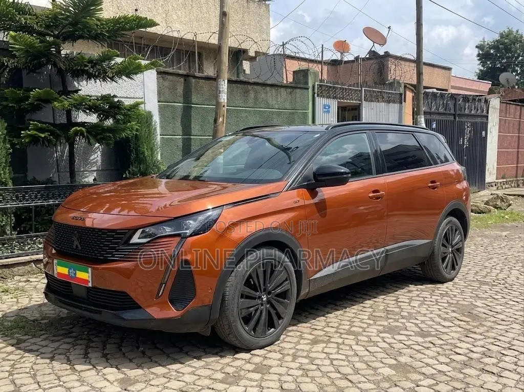 Pegeout 2022 Model for Rent