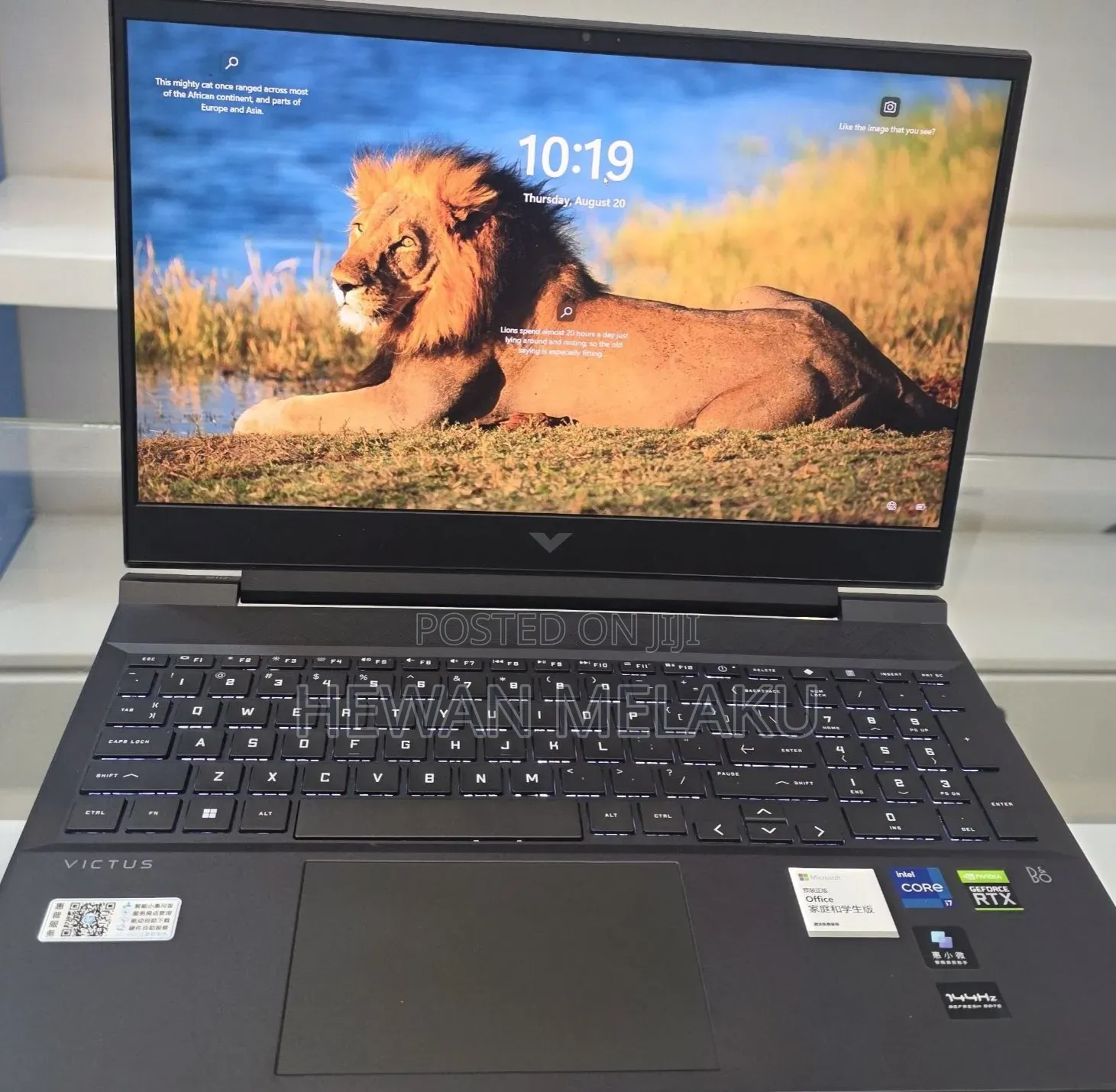 New Laptop HP Victus 16 16GB Intel Core i7 SSD 512GB