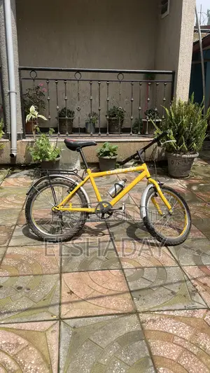 Biycycle Creeper