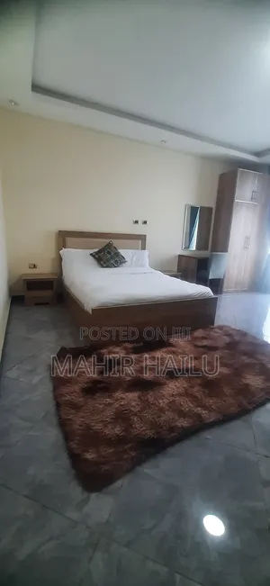Furnished 1bdrm Apartment in Real, Bole for rent