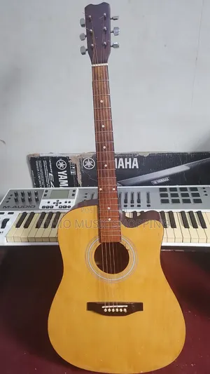 Ibanez Box Guitar