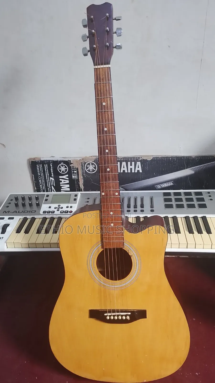 Ibanez Box Guitar