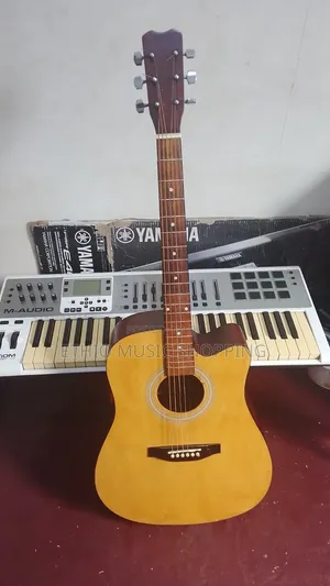 Ibanez Box Guitar