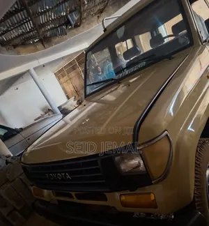 Toyota Land Cruiser 1992 Gray