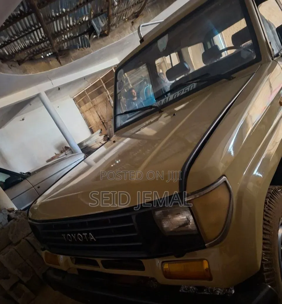 Toyota Land Cruiser 1992 Gray