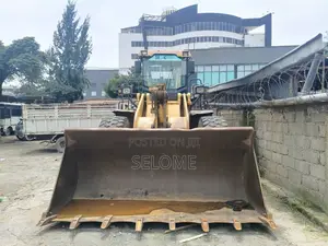 Loader for Sale