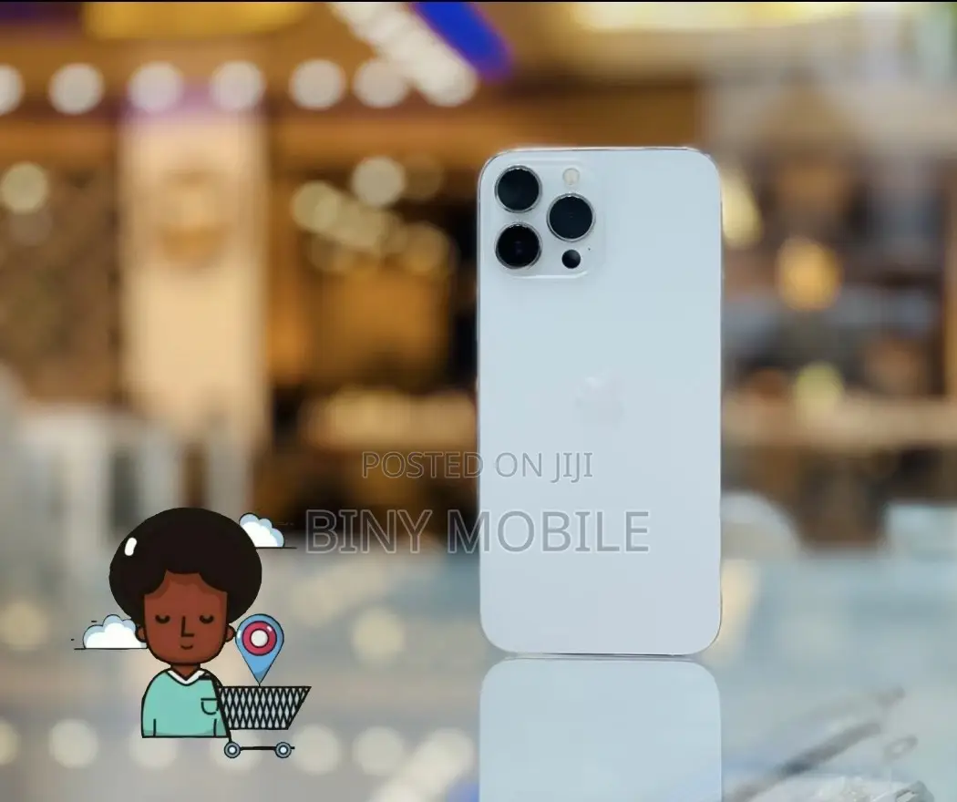 Apple iPhone 13 Pro Max 256 GB Silver