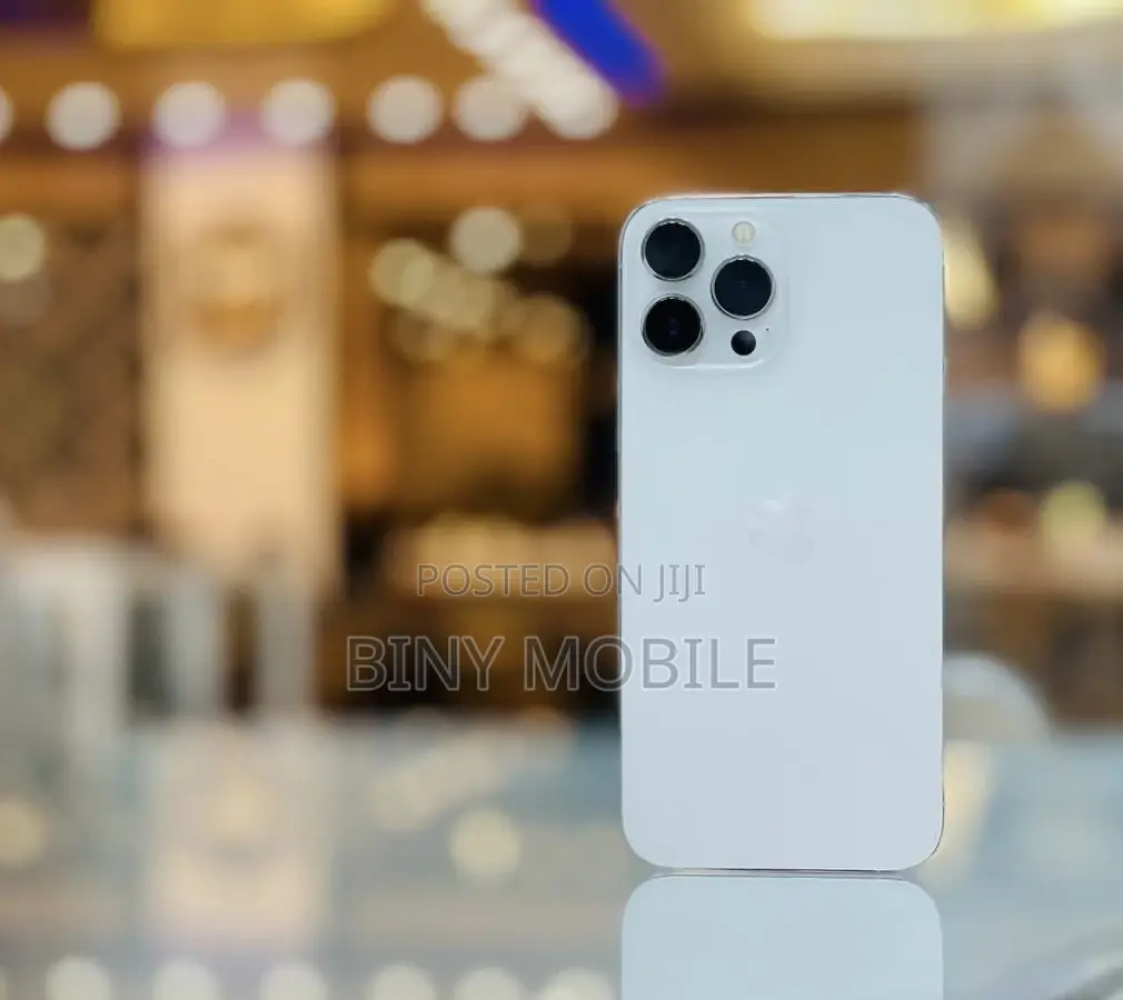 Apple iPhone 13 Pro Max 256 GB Silver