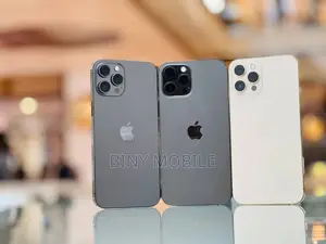 Apple iPhone 12 Pro Max 256 GB Gray