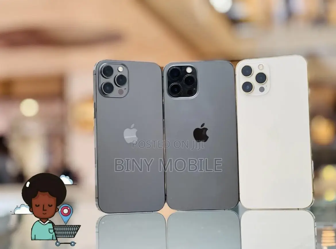 Apple iPhone 12 Pro Max 256 GB Gray