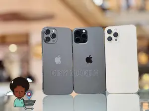 Photo - Apple iPhone 12 Pro Max 256 GB Gray