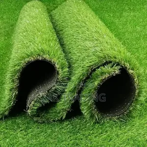 Artificial Grass