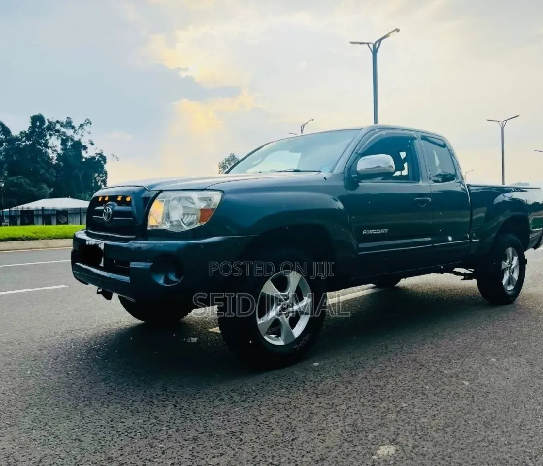 Toyota Tacoma 2008 Gray