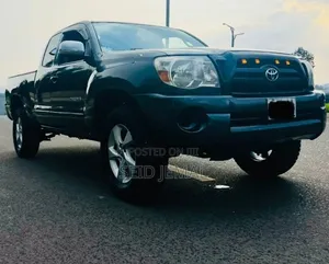 Toyota Tacoma 2008 Gray