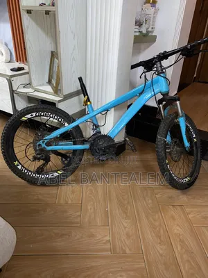 Brand Bicycle