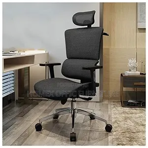 Adjustable Ergonomics Chair