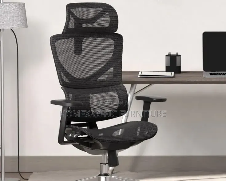 Adjustable Ergonomics Chair