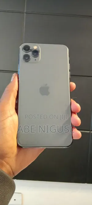 Apple iPhone 11 Pro Max 256 GB Gray