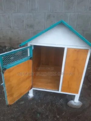 Dog Cage, የውሻ ቤት, Kennel, Cage