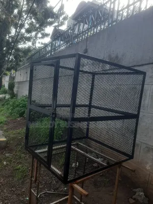 Dog Cage, Kennel, Dog House, የውሻ ቤት