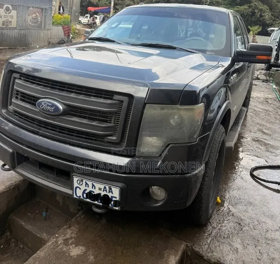 Ford F-150 2015 Gray
