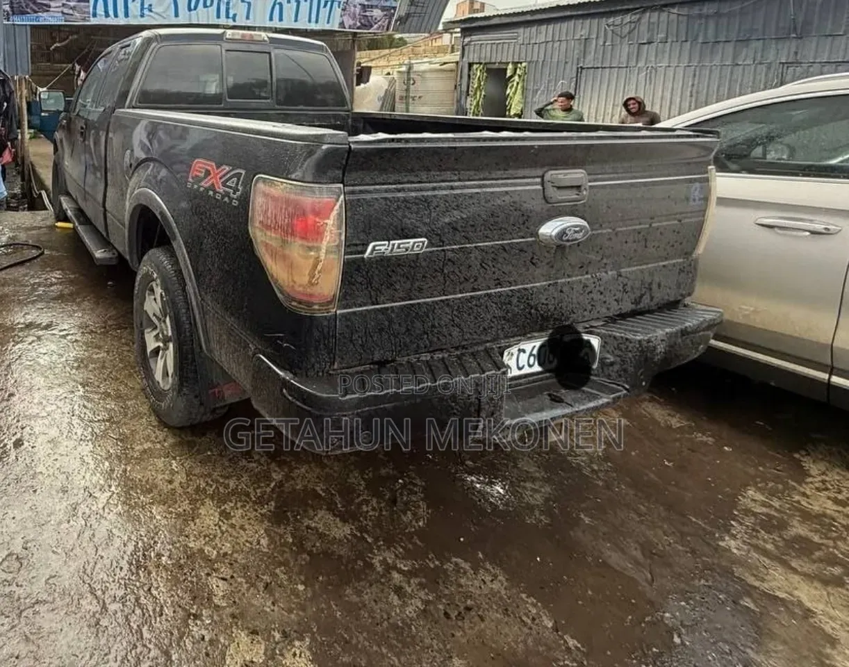 Ford F-150 2015 Gray