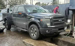 Ford F-150 2015 Gray