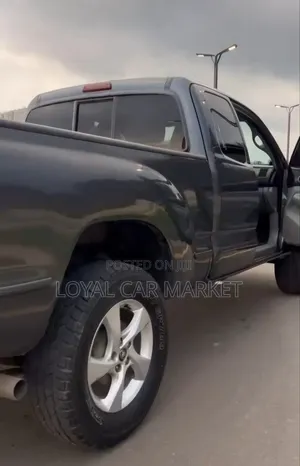 Toyota Tacoma 2008 Gray