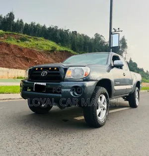 Toyota Tacoma 2008 Gray