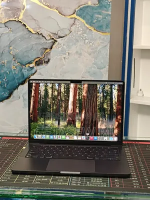 New Laptop Apple MacBook Pro 2024 M4 16GB Apple M4 SSD 512GB