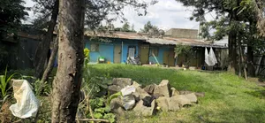 Land for Sale Kality