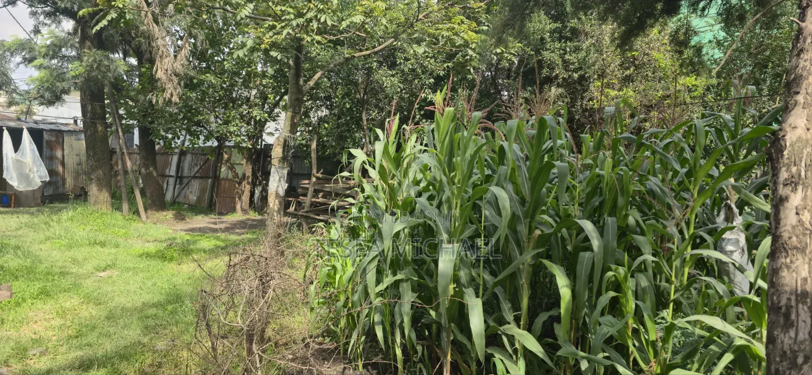 Land for Sale Kality