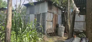 Land for Sale Kality