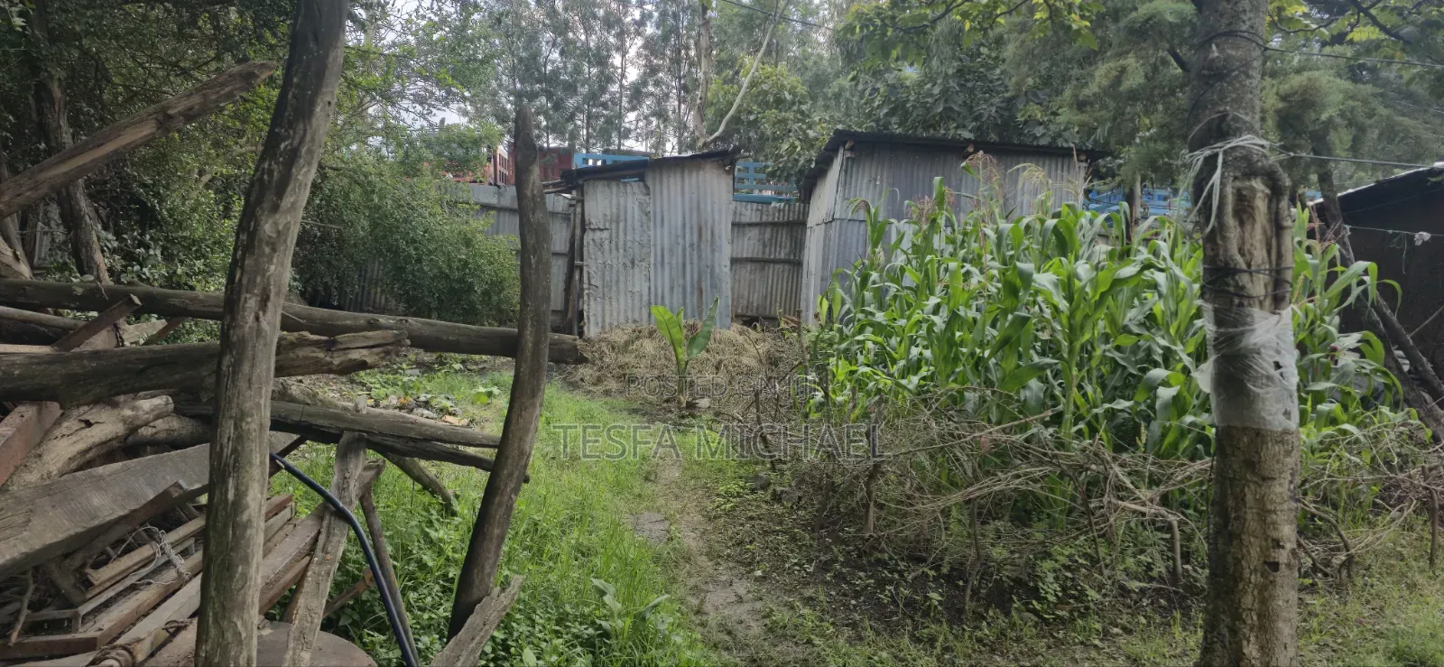Land for Sale Kality