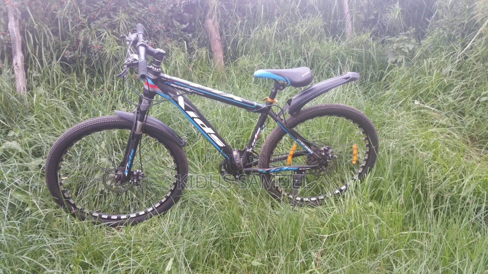 Mountain Bike