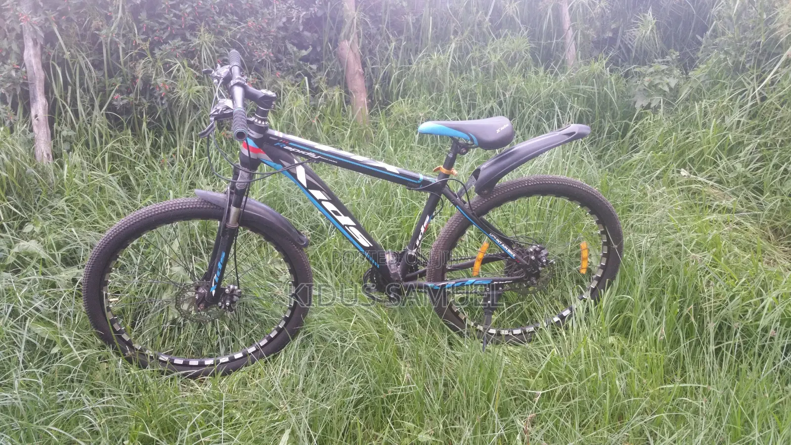 Mountain Bike