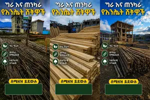 Wood and Tree for House አጠና እንጨት