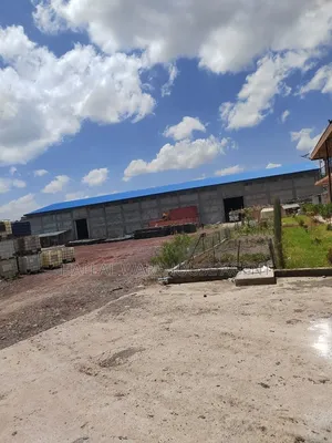 (15,000m2)Fully Bank Loan Warehouse for Sale