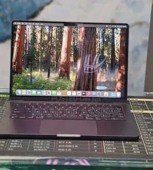 New Laptop Apple MacBook Pro 2024 M4 16GB Apple M4 Pro SSD 512GB