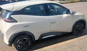 BYD Seagull 2024 White