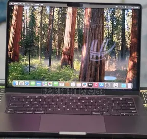 New Laptop Apple MacBook Pro 2024 M4 16GB Apple M4 SSD 512GB