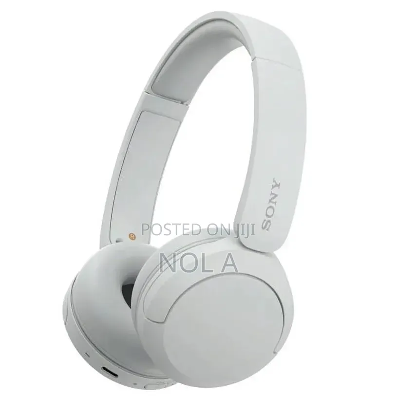 Sony WH-CH520