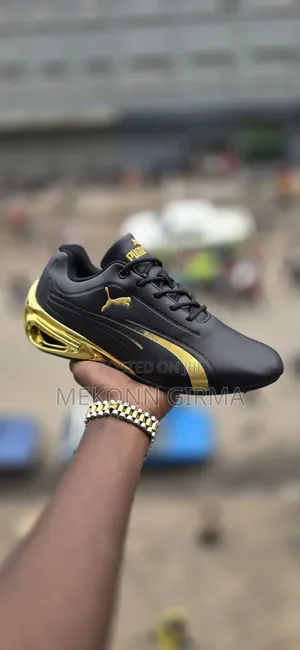 This Is Apaire of Pumma Feamus Shoe in the World
