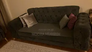 Modern Sofa Semi Used