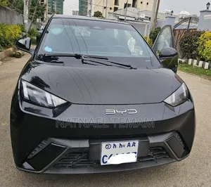 BYD Seagull 2024 Black
