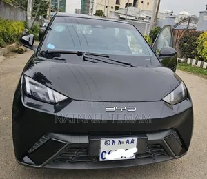 BYD Seagull 2024 Black